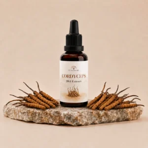 Fungidome Cordyceps Kivonat