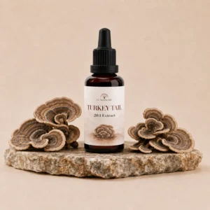 Fungidome Turkey Tail Kivonat