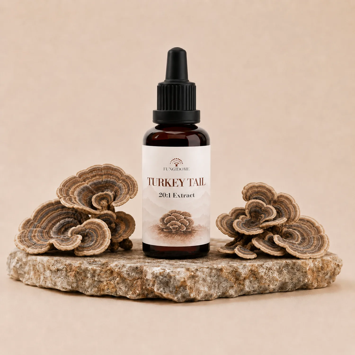 Fungidome Turkey Tail Kivonat
