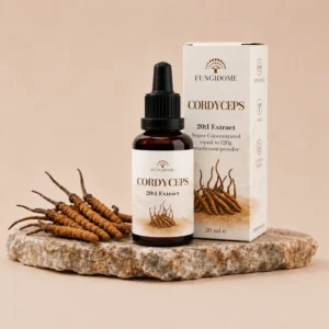 Fungidome Cordyceps Kivonat