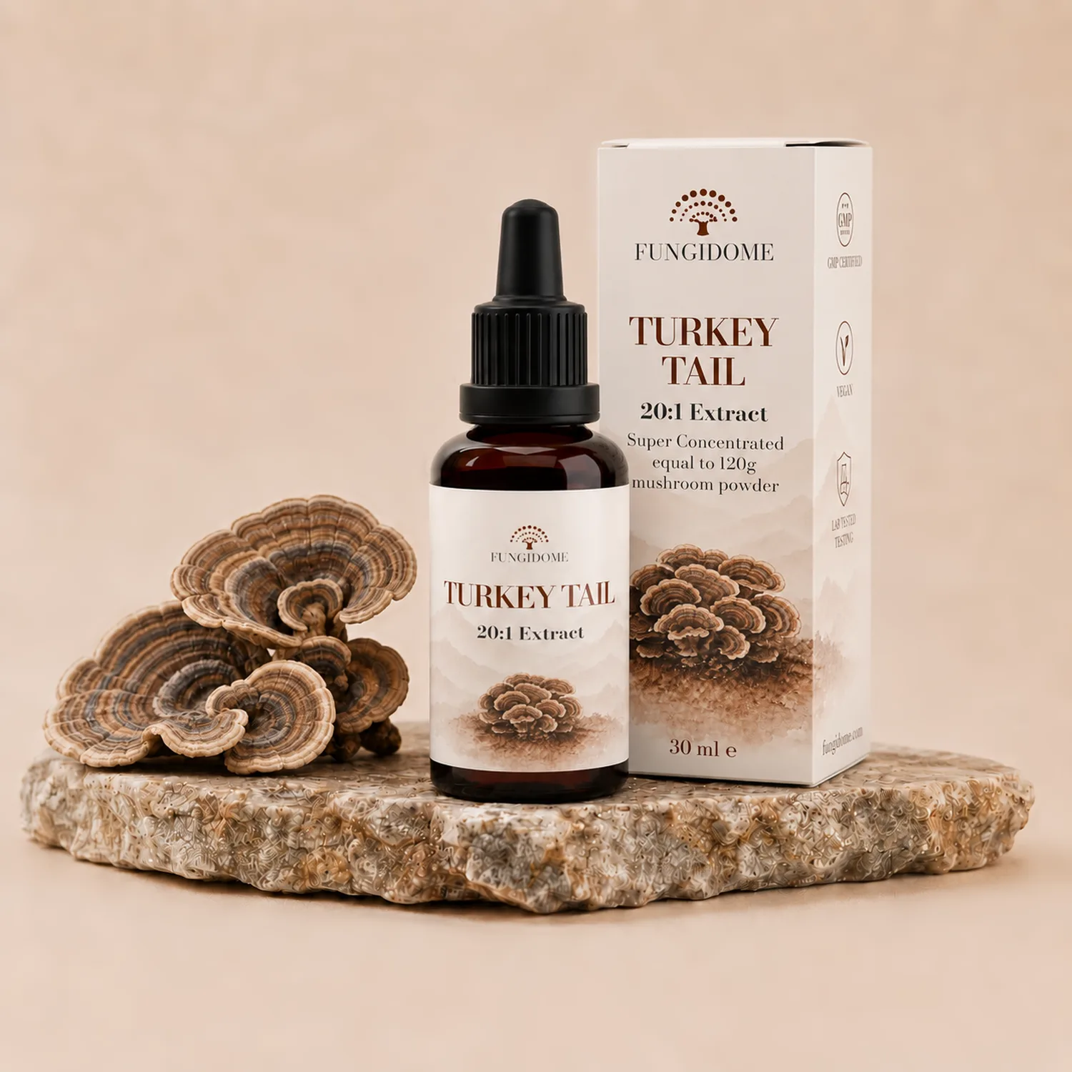 Fungidome Turkey Tail Kivonat